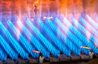 Easter Lednathie gas fired boilers